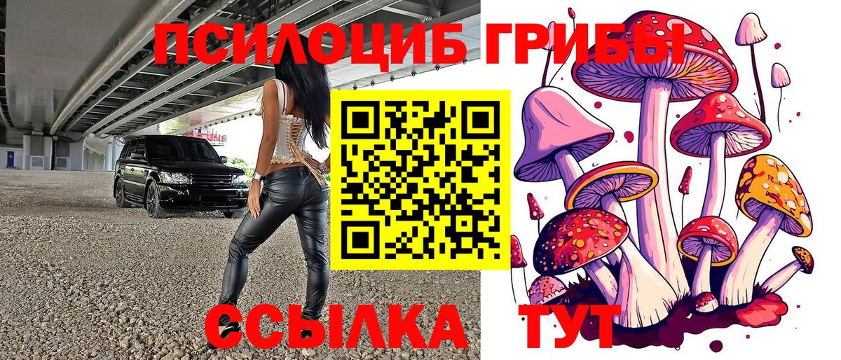 Галлюциногенные грибы ЛСД Ивантеевка