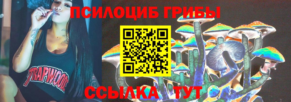 цена наркотик  Псилоцибиновые грибы Magic Shrooms  Вход с VPN  Ивантеевка 